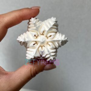 Žiemos kolekcija - snaigė 5